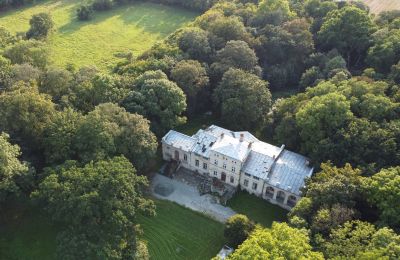 Manor house for sale Pakosław, Greater Poland, 2026
