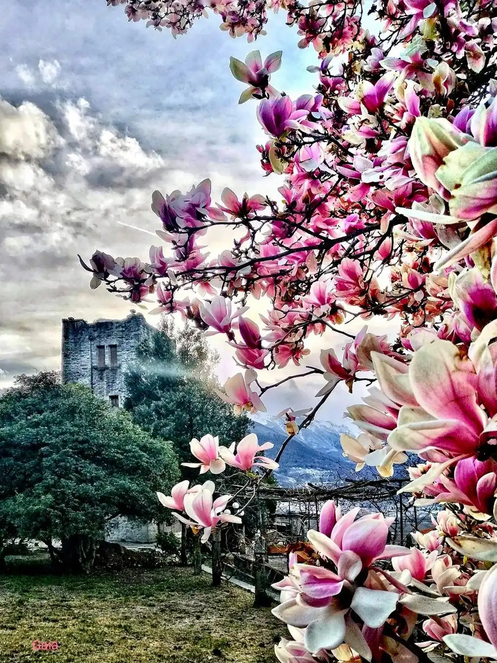 Photos 13th-century watchtower in Trontano