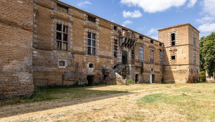 Castle Marmande, New Aquitaine
