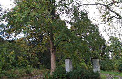 Castle for sale Kostrzyna, Lower Silesia, Photo 12/16