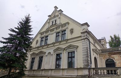 Castle for sale Lubinicko, Lubinek, Lubusz, Side view