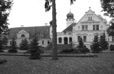 Castle for sale Lubinicko, Lubinek, Lubusz, Front view
