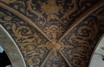 Castle for sale Lubinicko, Lubinek, Lubusz, Ceiling