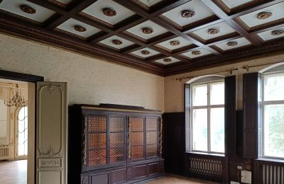 Castle for sale Lubinicko, Lubinek, Lubusz, Living Room