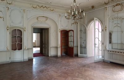 Castle for sale Lubinicko, Lubinek, Lubusz, Ballroom