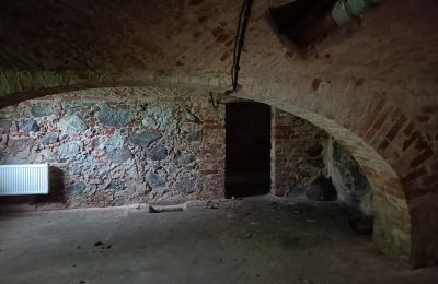 Castle for sale Lubinicko, Lubinek, Lubusz, Basement