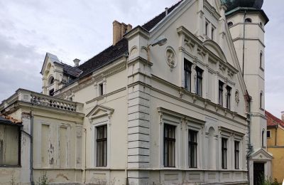 Castle for sale Lubinicko, Lubinek, Lubusz, Building with tower
