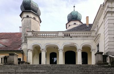 Castle for sale Lubinicko, Lubinek, Lubusz, Entrance