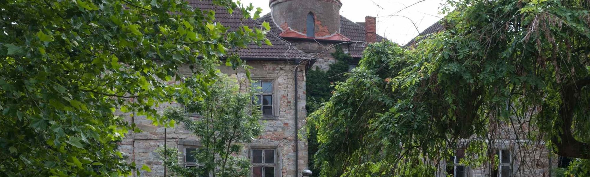 REALPORTICO Newsletter