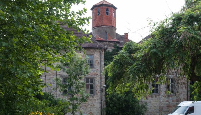 Old Castle in Saxony-Anhalt in Auction October 2025