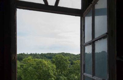 Old Castle in Saxony-Anhalt in Auction, Photo 12