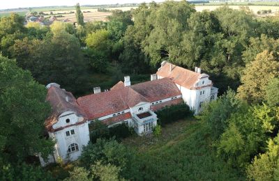 Manor House for sale Oporowo, Dwór w Oporowie 1, Greater Poland, Drone view