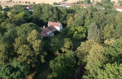 Manor House for sale Oporowo, Dwór w Oporowie 1, Greater Poland, Park