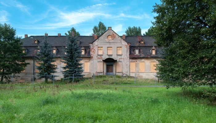 Historic bargain houses: Manor in Brandenburg will be auctioned