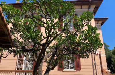 Historic Villa for sale Imperia, Liguria, Photo 5/8