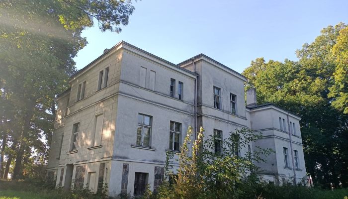 Manor House Goniembice 4
