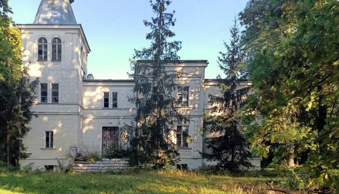 Manor House for sale Goniembice, Greater Poland,  Poland