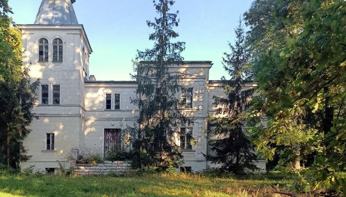 Manor House for sale Goniembice, Greater Poland Voivodeship