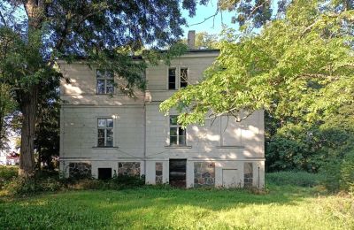 Manor House for sale Goniembice, Dwór w Goniembicach, Greater Poland, Side view