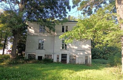 Manor House for sale Goniembice, Dwór w Goniembicach, Greater Poland Voivodeship:  