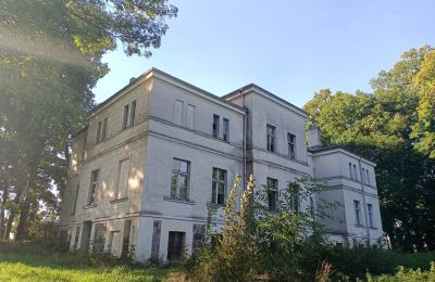 Manor House for sale Goniembice, Dwór w Goniembicach, Greater Poland Voivodeship:  