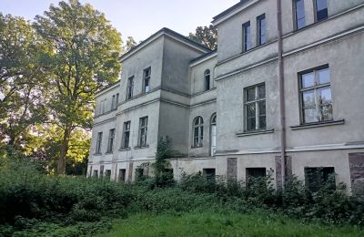 Manor House for sale Goniembice, Dwór w Goniembicach, Greater Poland Voivodeship:  Side view
