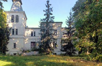 Manor House for sale Goniembice, Greater Poland Voivodeship