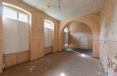 Castle for sale Pakosław, Greater Poland, Ballroom