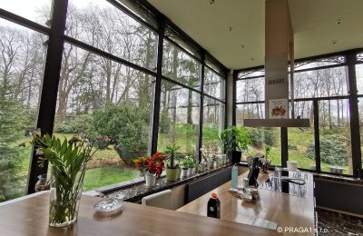 Historic Villa for sale Ústecký kraj, Photo 12/17