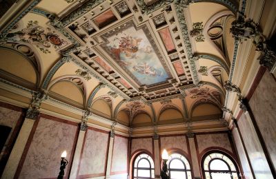 Historic Villa for sale Ústecký kraj, Ballroom