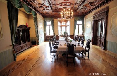 Historic Villa for sale Ústecký kraj:  