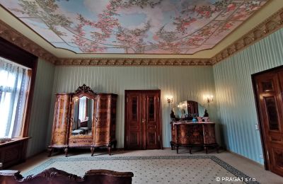 Historic Villa for sale Ústecký kraj, Photo 15/17
