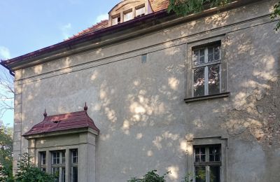 Manor house for sale Osieczna, Greater Poland, Details