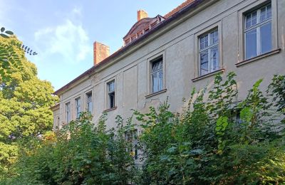 Manor house for sale Osieczna, Greater Poland, Back view