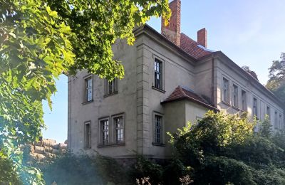 Manor house for sale Osieczna, Greater Poland, Side view