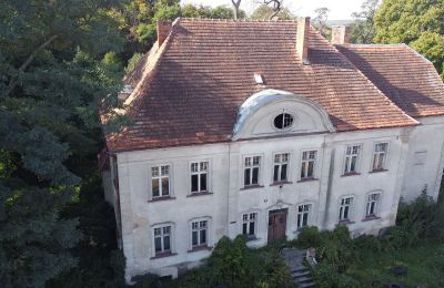 Manor house for sale Osieczna, Greater Poland, Drone view