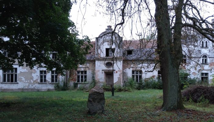 Manor House Brodnica 3