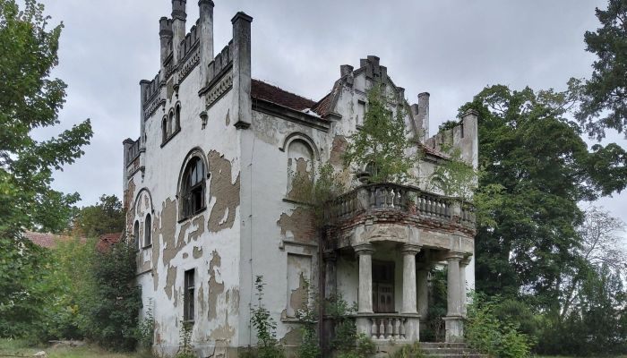 Manor House for sale Brodnica, Greater Poland,  Poland