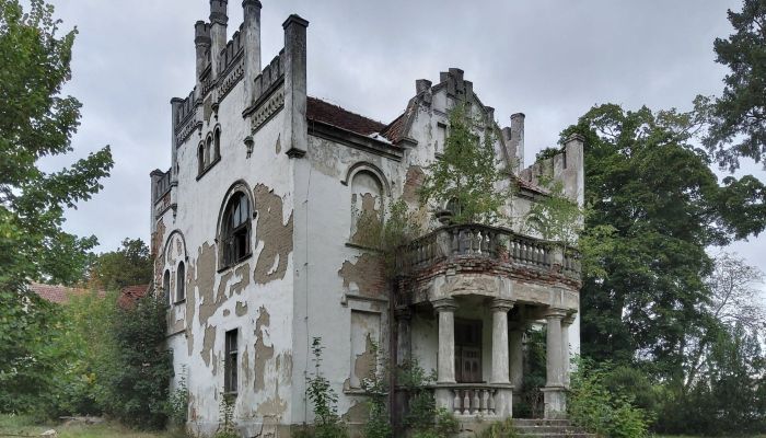 Manor House Brodnica 1