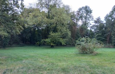 Manor House for sale Brodnica, Greater Poland, Palace Garden