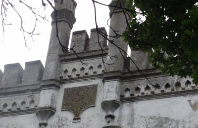 Manor House for sale Brodnica, Greater Poland, Details