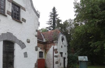 Manor House for sale Brodnica, Greater Poland, Photo 7/12