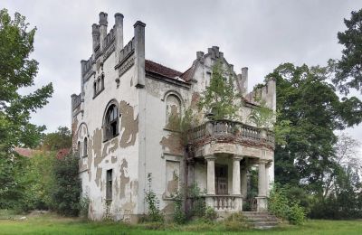 Historic estates, Manor estate in Piotrowo with park and outbuildings - Restoration property