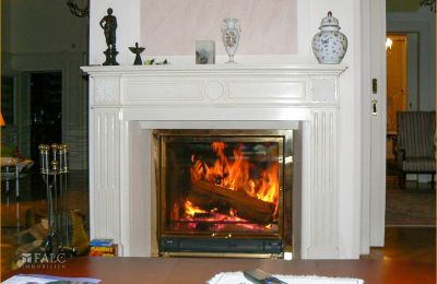 Historic Villa for sale 04736 Waldheim, Saxony, Kamin