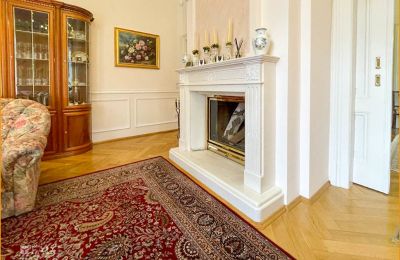 Historic Villa for sale 04736 Waldheim, Saxony, Wohnzimmer
