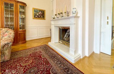 Historic Villa for sale 04736 Waldheim, Saxony:  Wohnzimmer