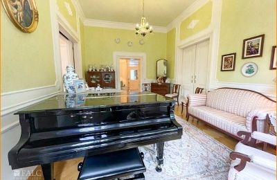 Historic Villa for sale 04736 Waldheim, Saxony, Musikzimmer