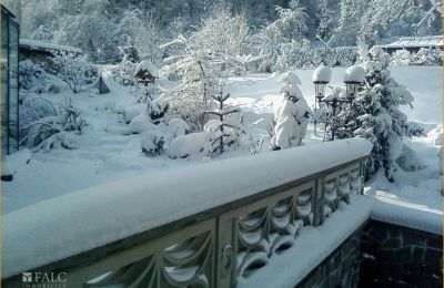 Historic Villa for sale 04736 Waldheim, Saxony, Impressionen