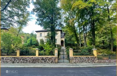 Historic Villa for sale 04736 Waldheim, Saxony, Aussenansicht