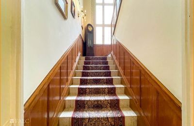 Historic Villa for sale 04736 Waldheim, Saxony, Treppenaufgang